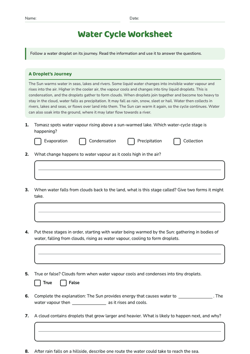 Water Cycle Worksheet