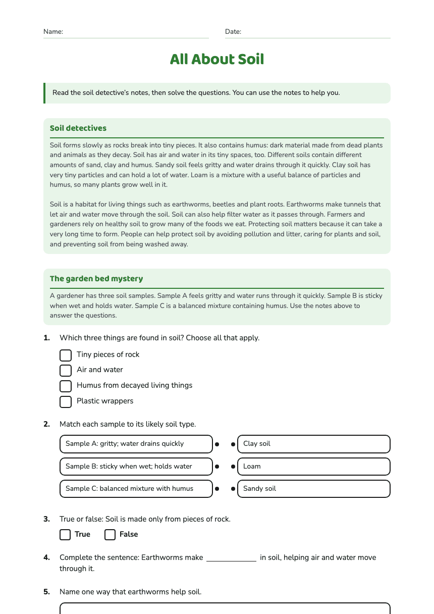 All About Soil worksheet preview