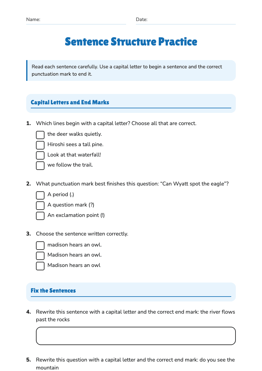 Sentence Structure Practice worksheet preview