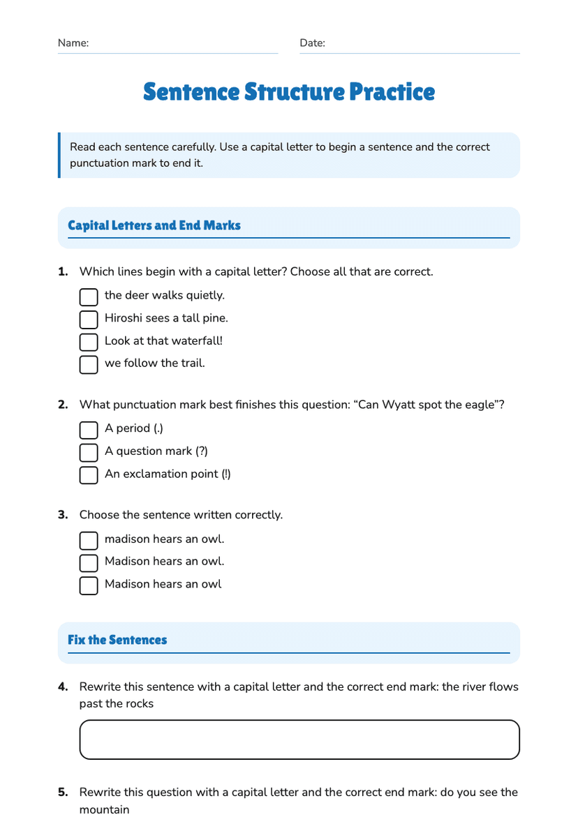 Sentence Structure Practice