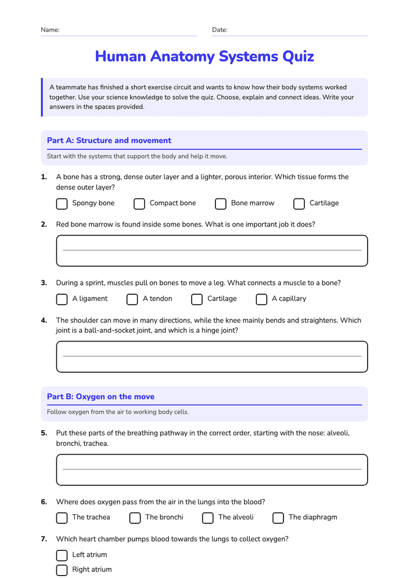 Human Anatomy Systems Quiz