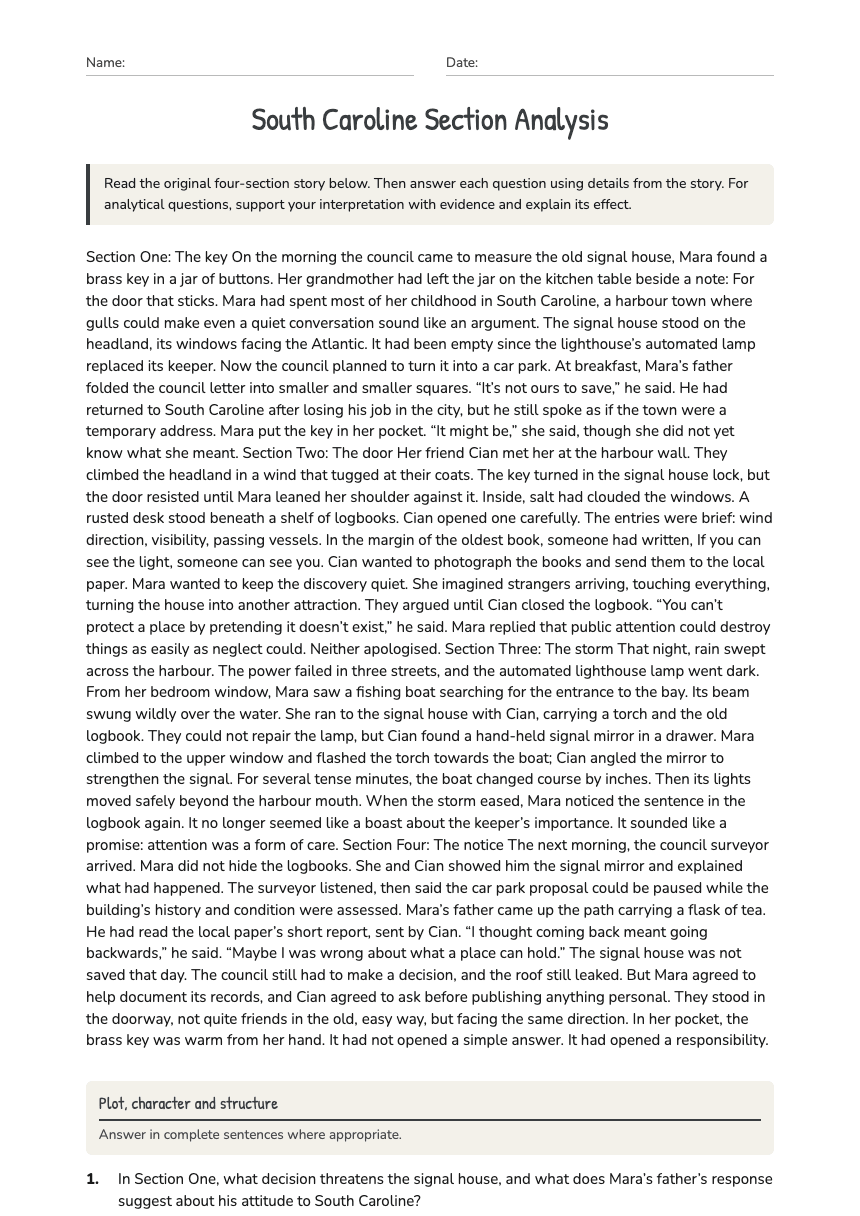 South Caroline Section Analysis worksheet preview