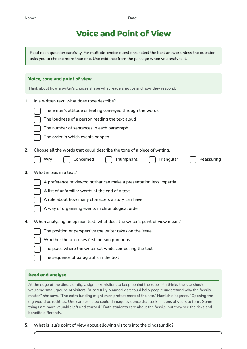 Voice and Point of View worksheet preview