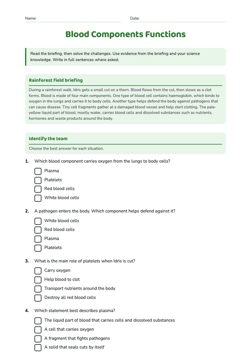 Blood Components Functions