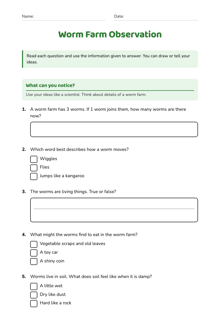 Worm Farm Observation worksheet preview