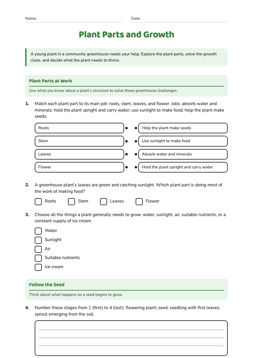 Plant Parts and Growth worksheet preview