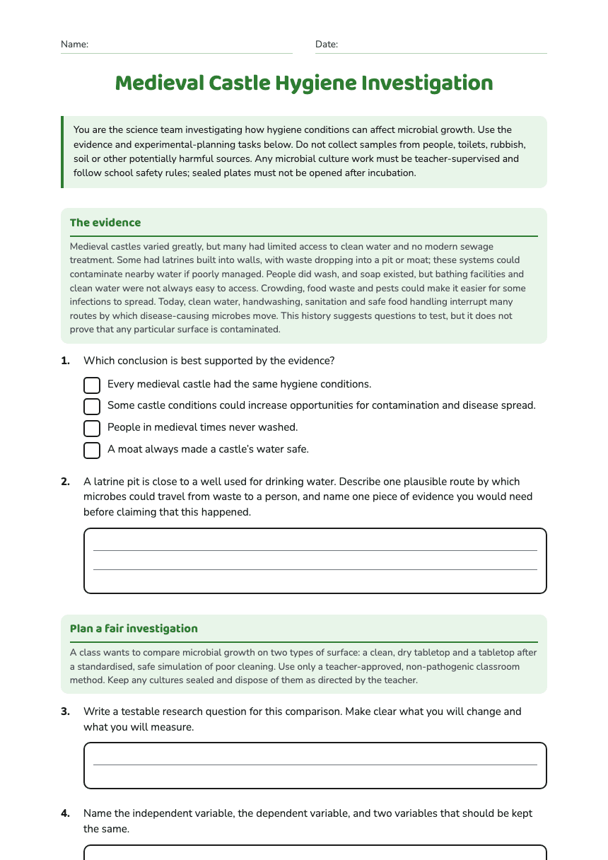 Medieval Castle Hygiene Investigation worksheet preview
