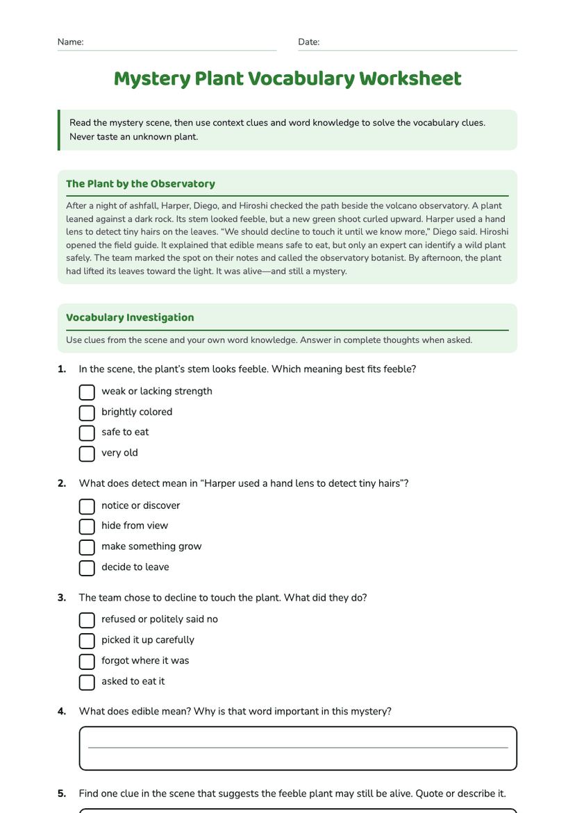 Mystery Plant Vocabulary Worksheet