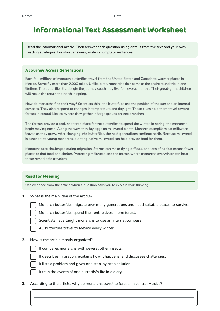 Informational Text Assessment Worksheet worksheet preview