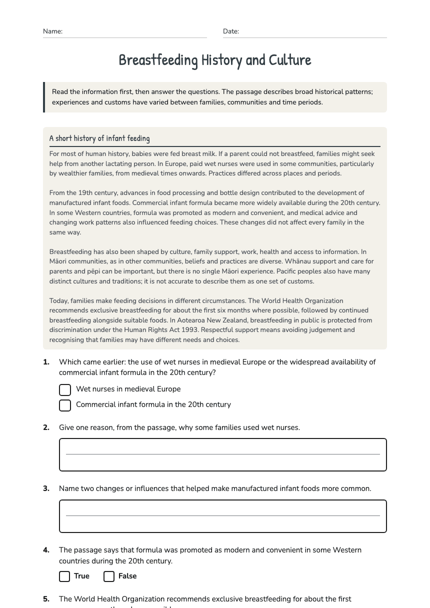 Breastfeeding History and Culture worksheet preview