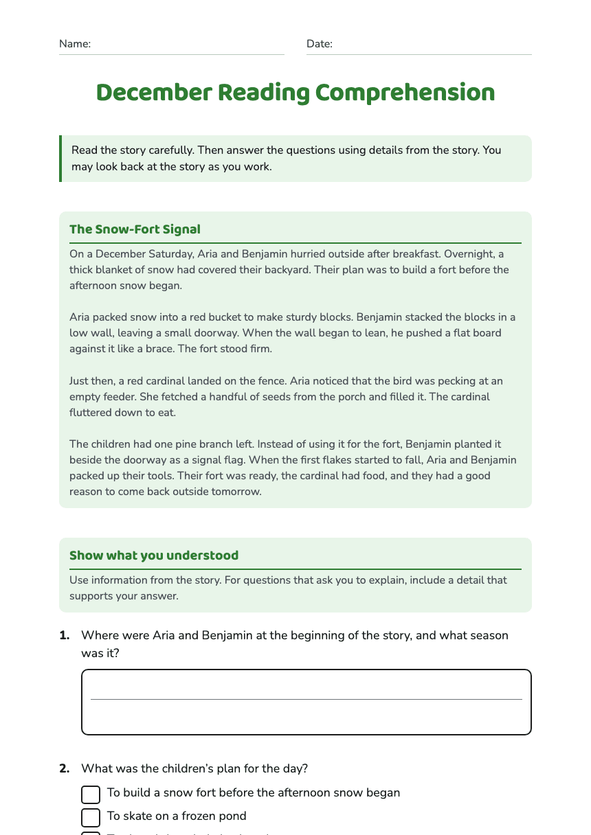 December Reading Comprehension worksheet preview