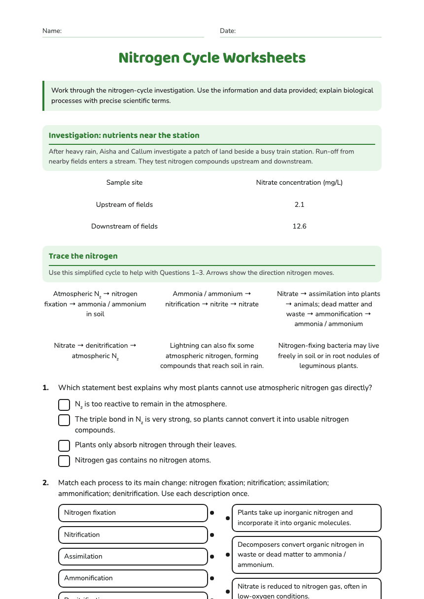 Nitrogen Cycle Worksheets worksheet preview