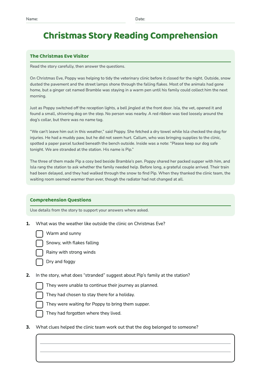 Christmas Story Reading Comprehension worksheet preview
