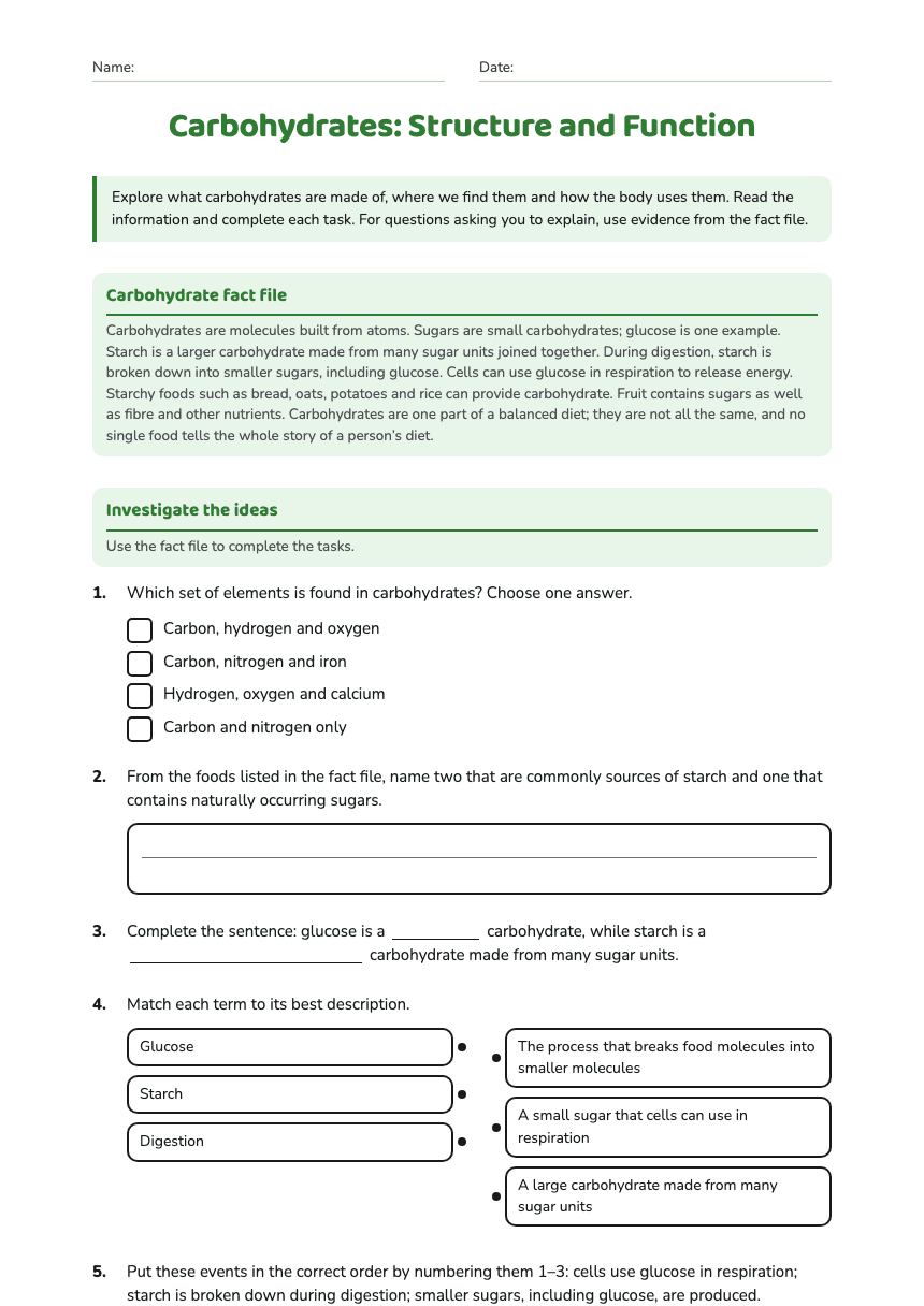Carbohydrates: Structure and Function worksheet preview