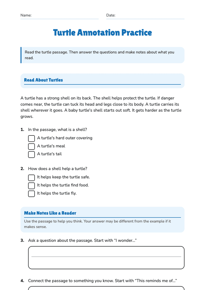 Turtle Annotation Practice
