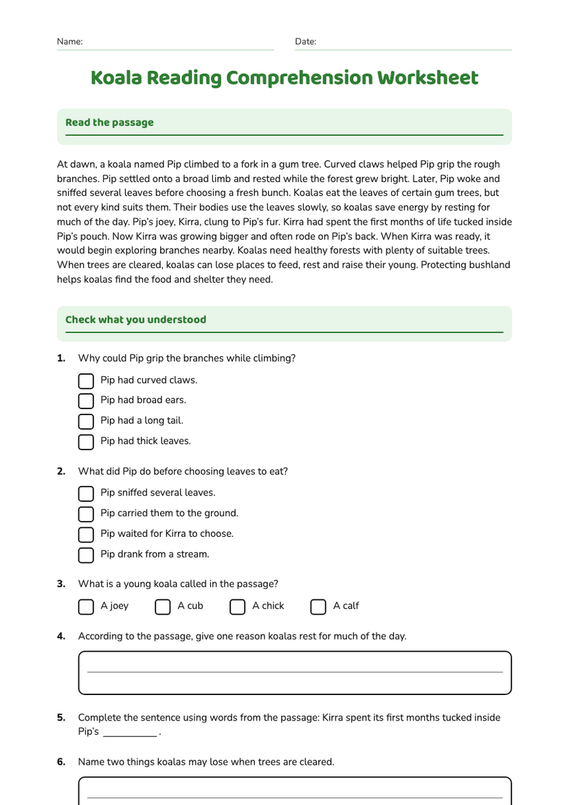Koala Reading Comprehension Worksheet