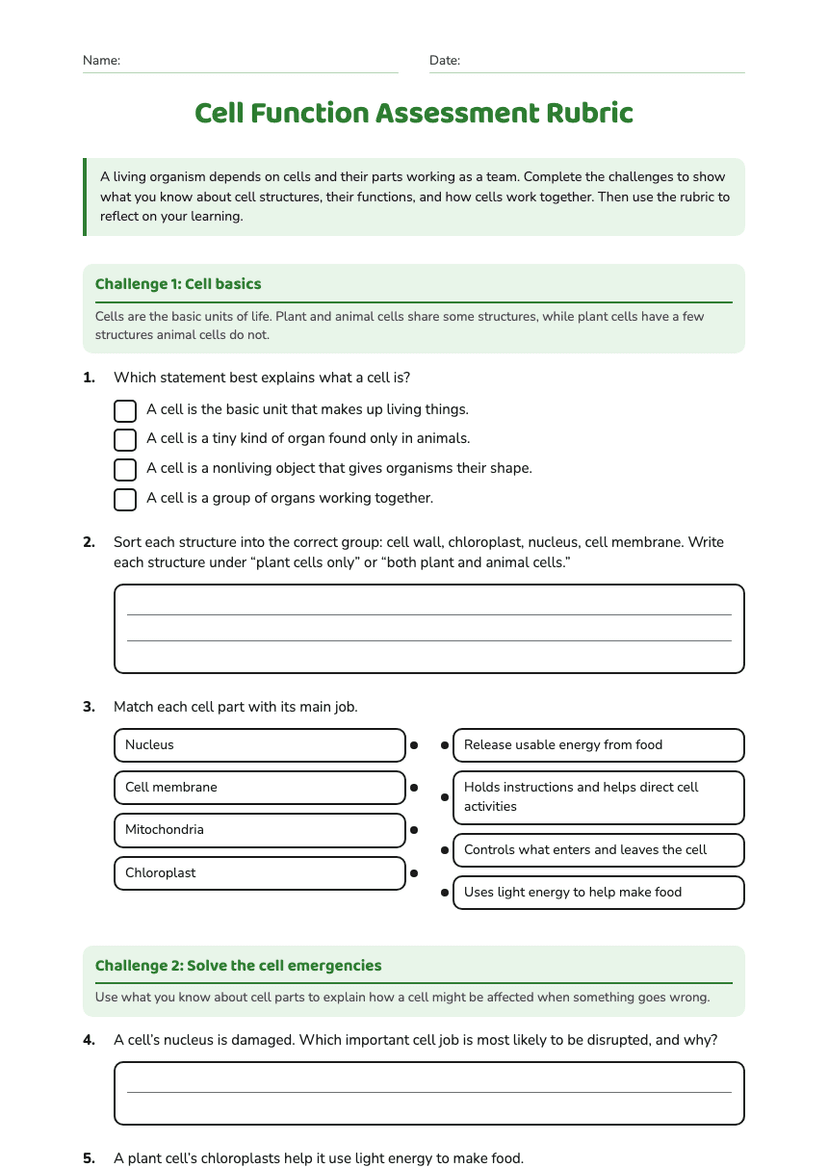 Cell Function Assessment Rubric