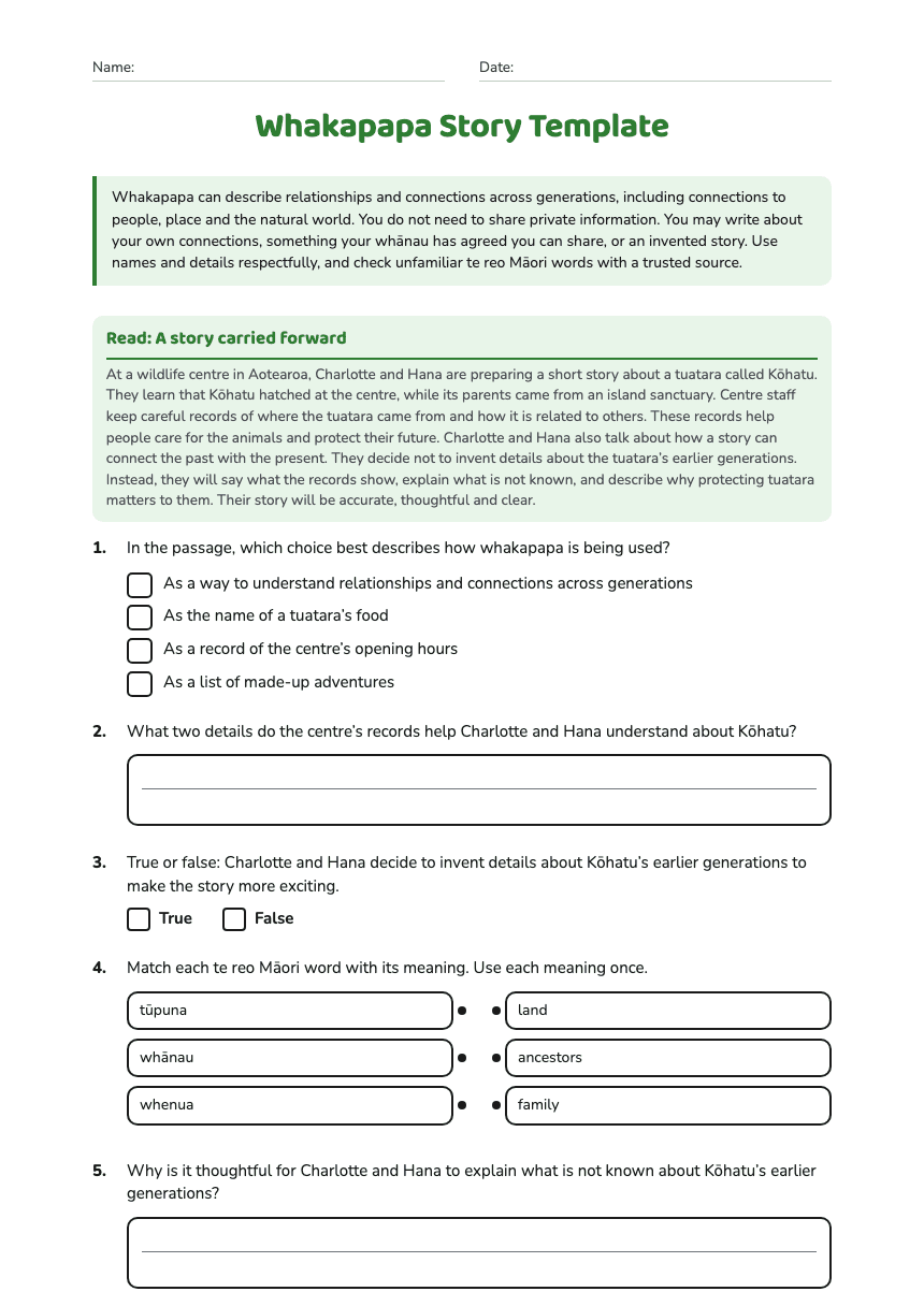 Whakapapa Story Template worksheet preview
