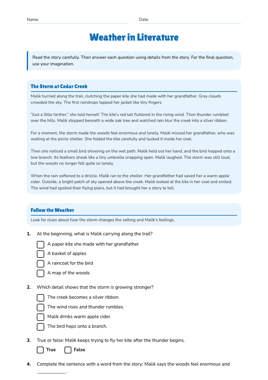 Weather in Literature worksheet preview