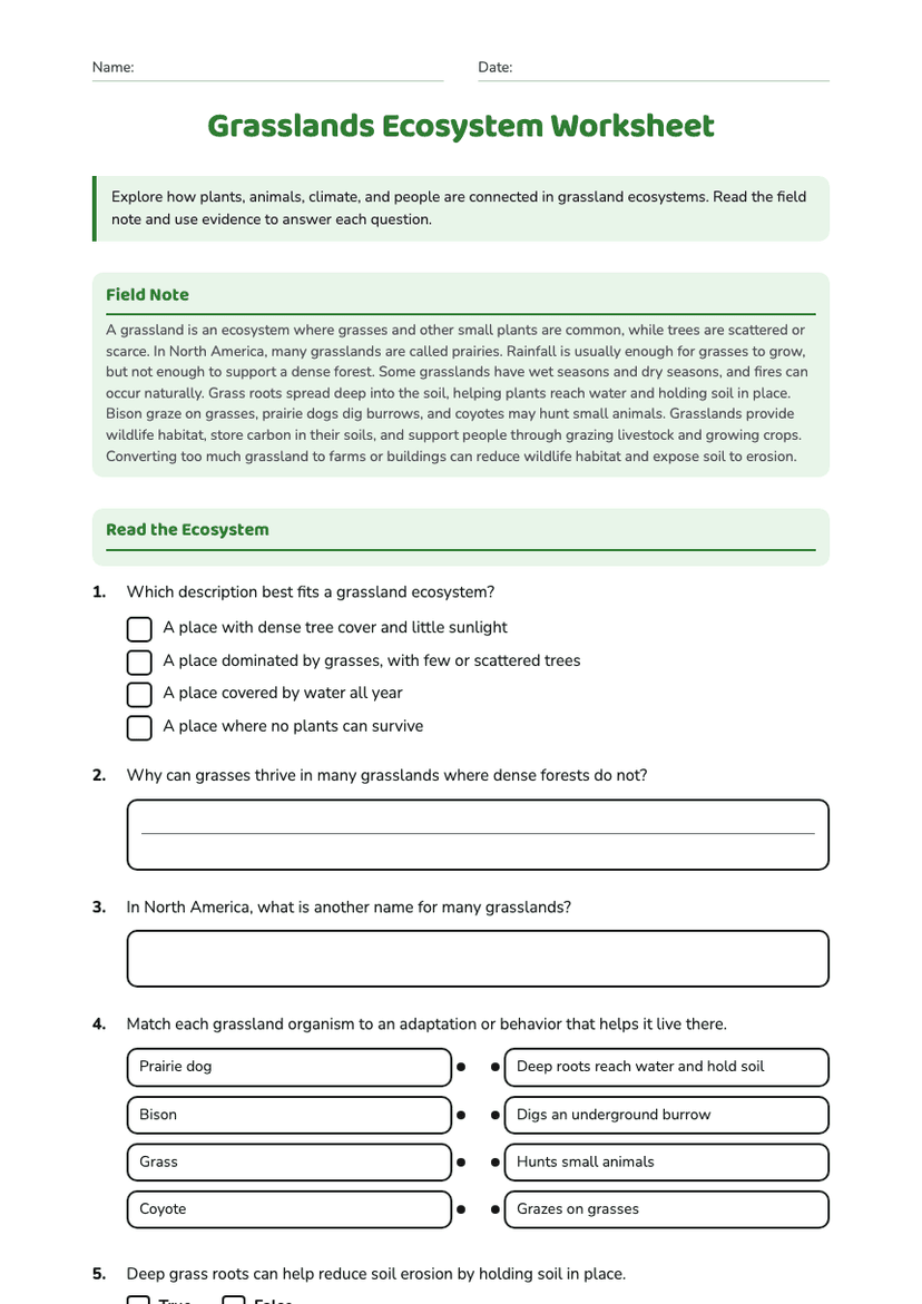 Grasslands Ecosystem Worksheet