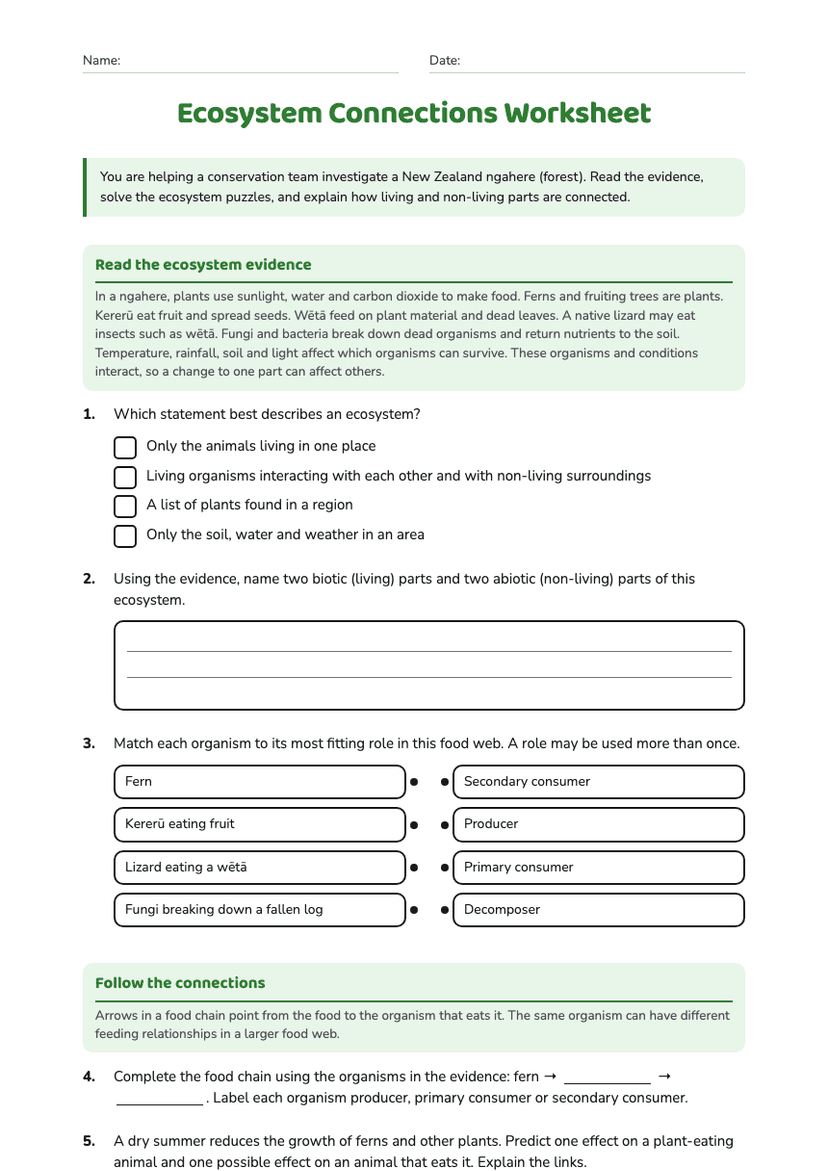 Ecosystem Connections Worksheet