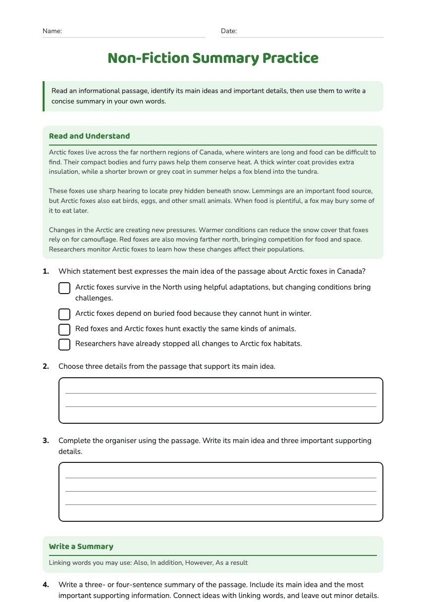 Non-Fiction Summary Practice worksheet preview