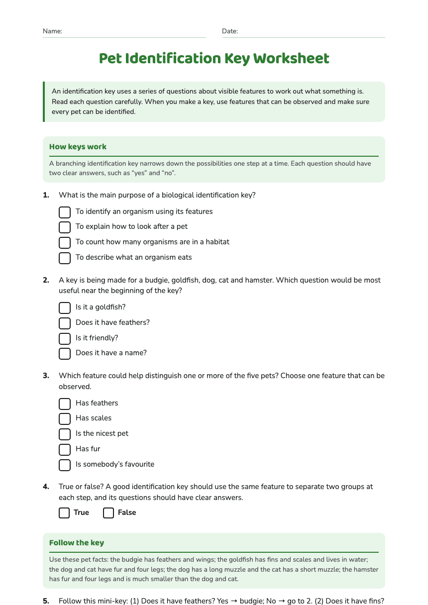 Pet Identification Key Worksheet worksheet preview