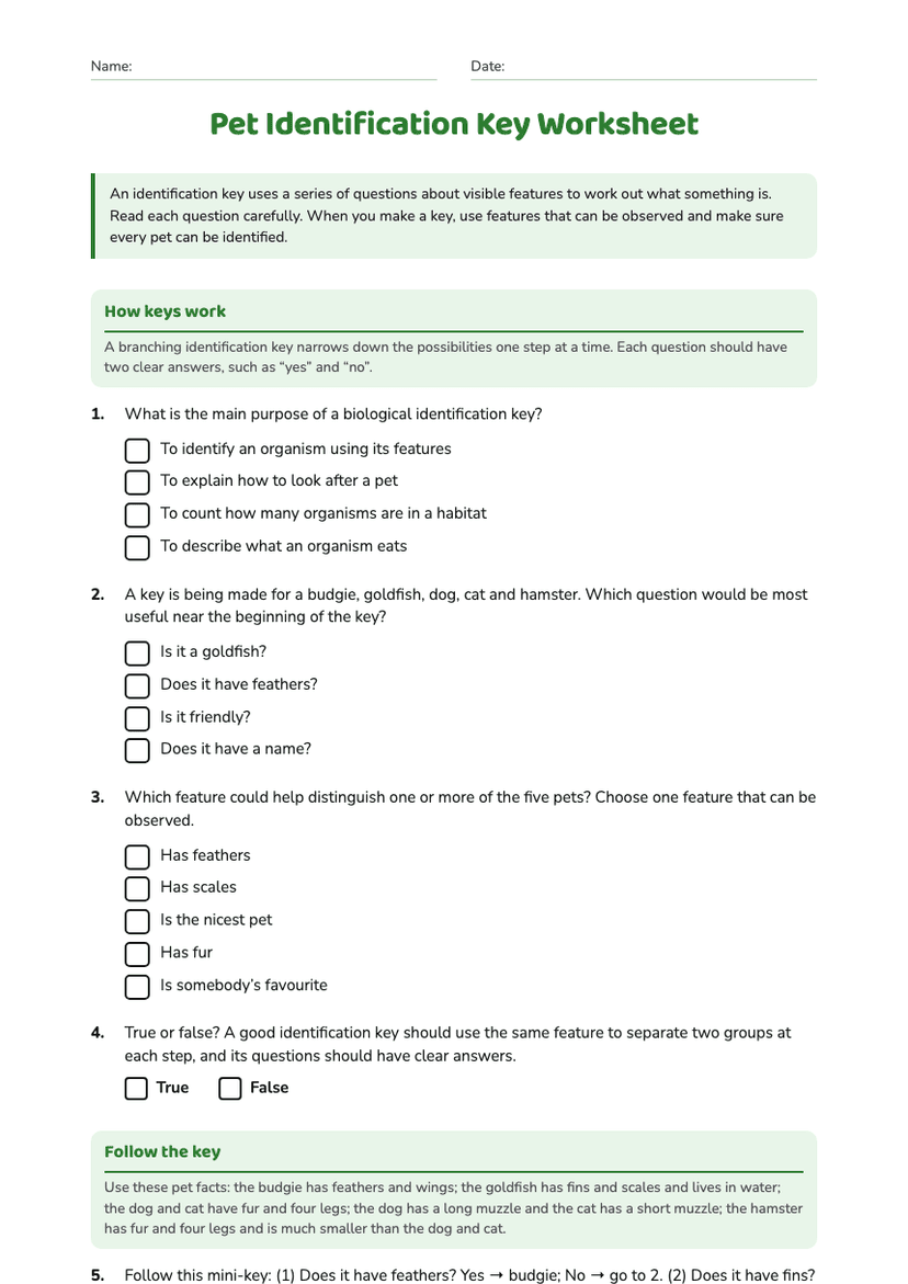 Pet Identification Key Worksheet