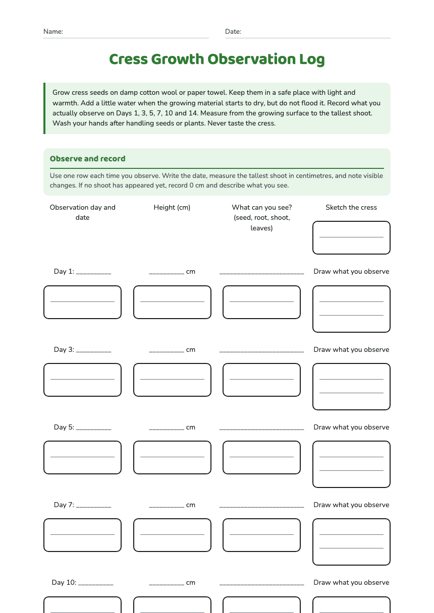 Cress Growth Observation Log worksheet preview