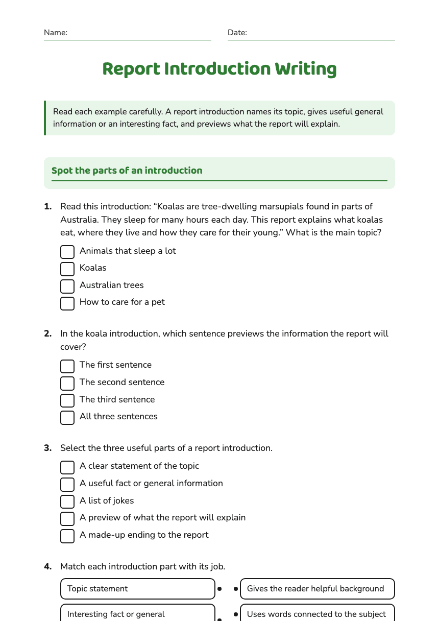 Report Introduction Writing worksheet preview