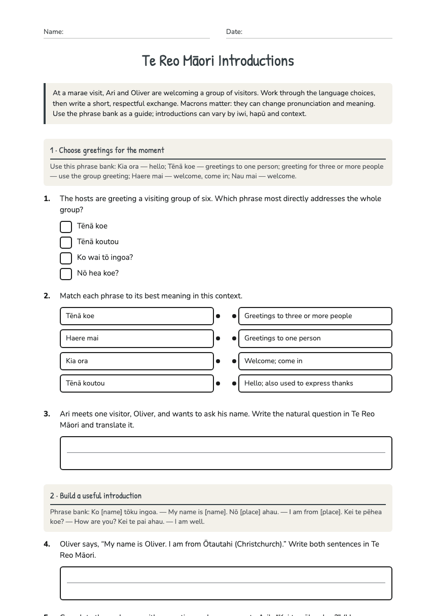 Te Reo Māori Introductions worksheet preview