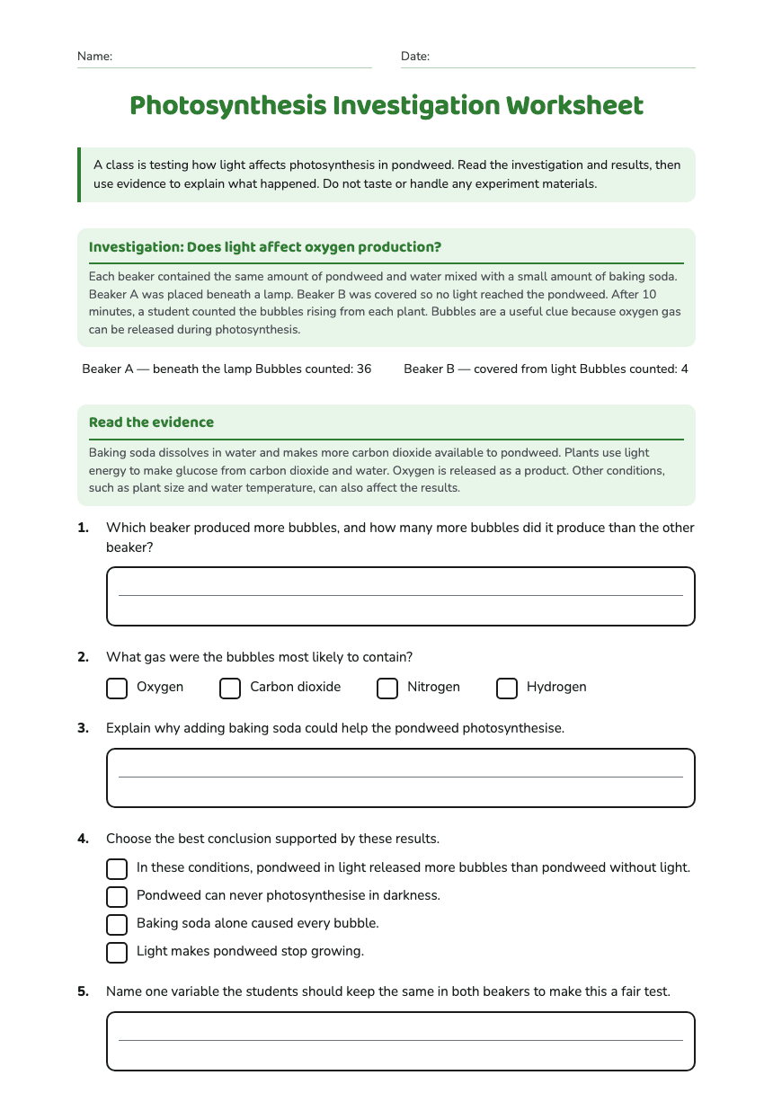 Photosynthesis Investigation Worksheet worksheet preview