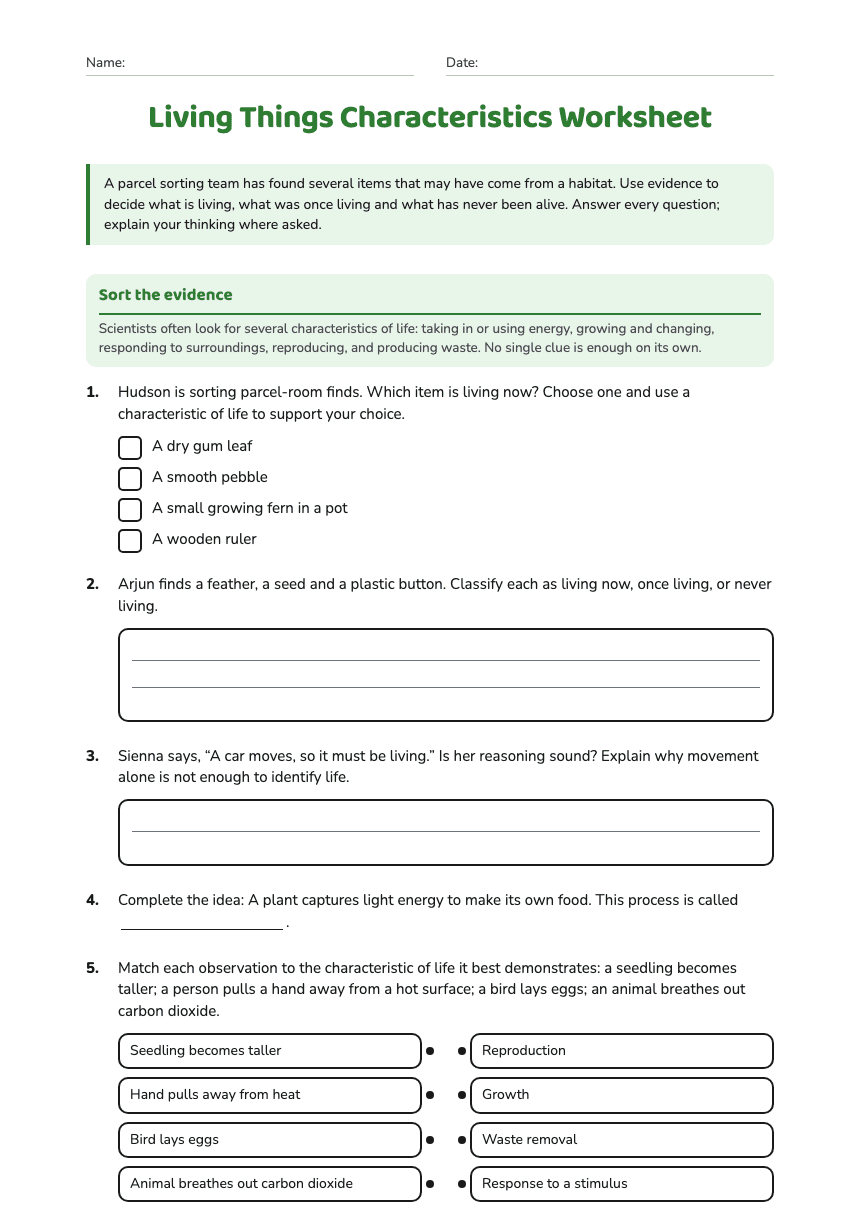 Living Things Characteristics Worksheet worksheet preview