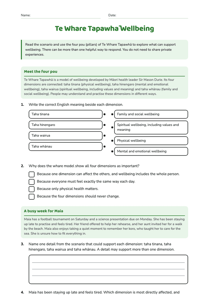 Te Whare Tapawhā Wellbeing