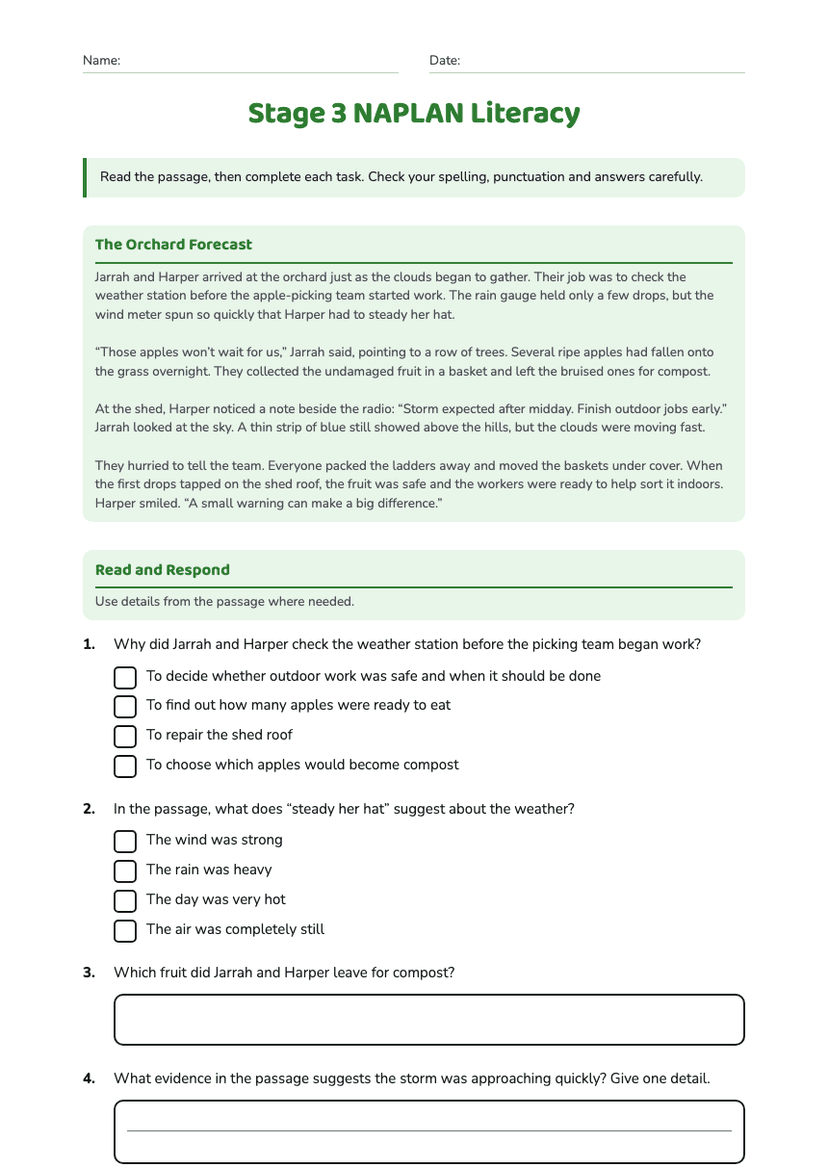 Stage 3 NAPLAN Literacy
