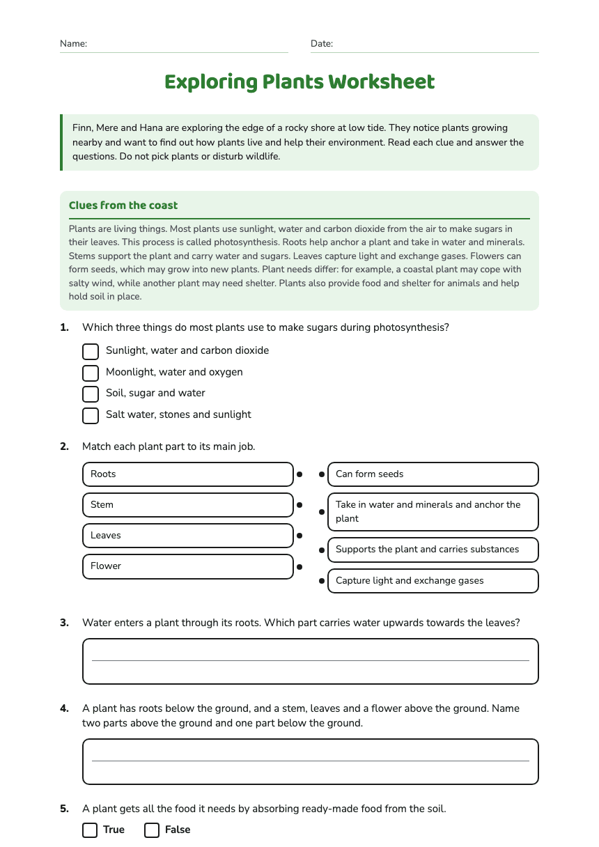 Exploring Plants Worksheet worksheet preview