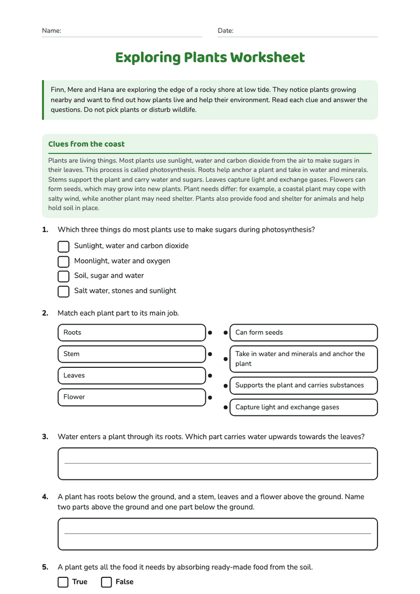 Exploring Plants Worksheet