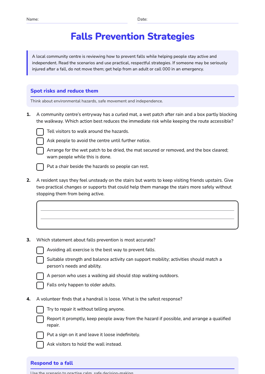 Falls Prevention Strategies worksheet preview