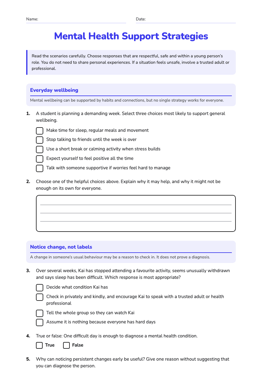 Mental Health Support Strategies worksheet preview