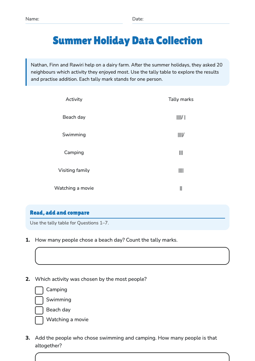 Summer Holiday Data Collection worksheet preview