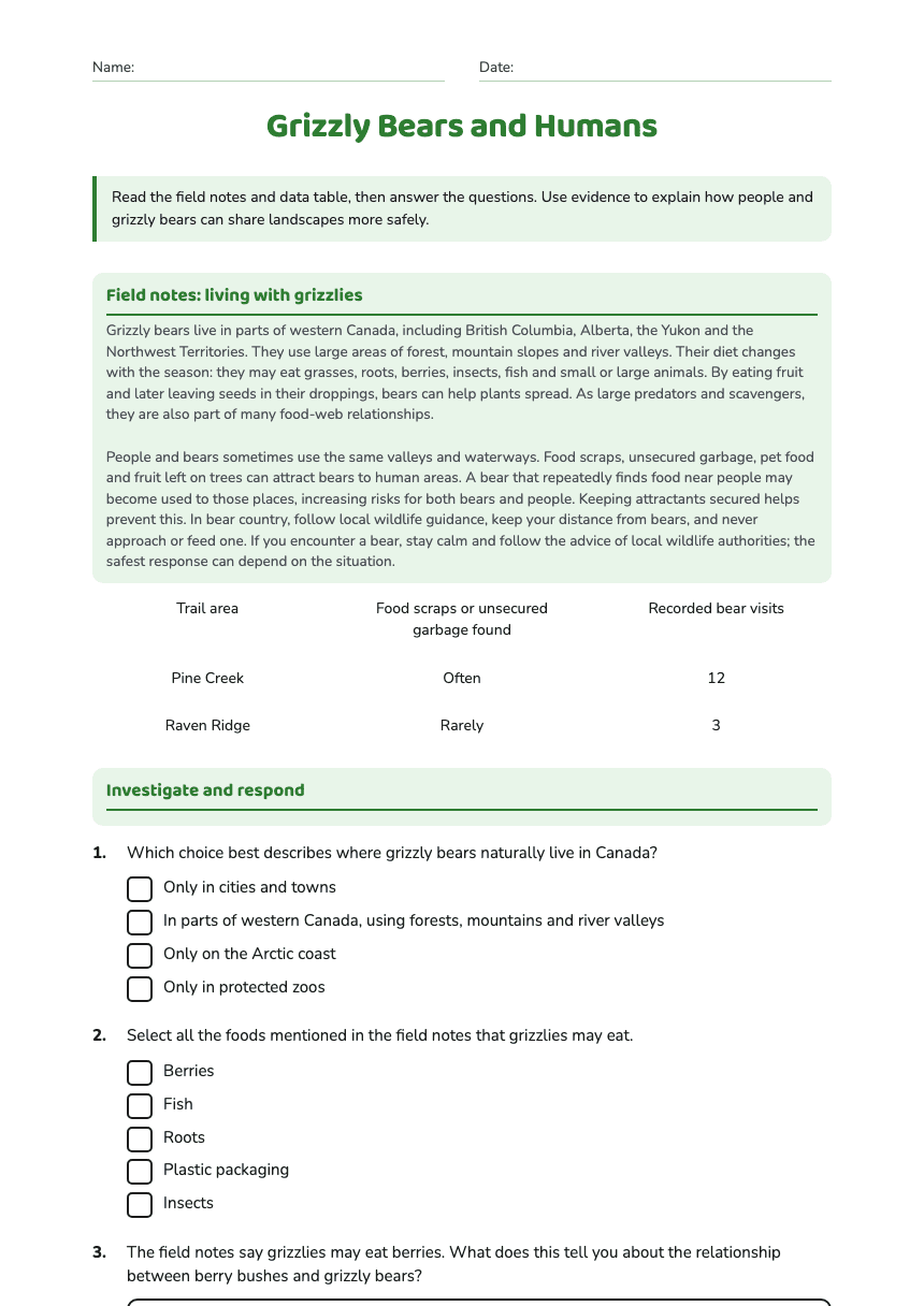 Grizzly Bears and Humans worksheet preview