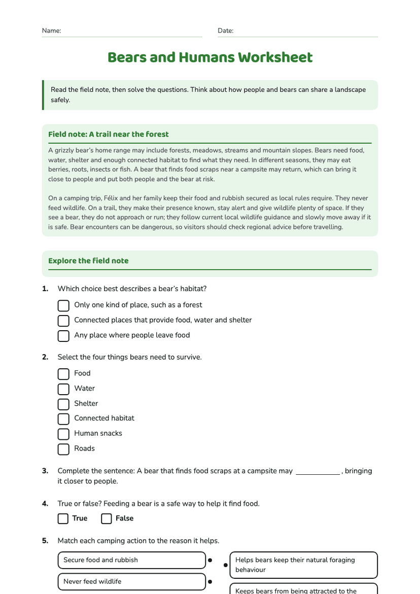 Bears and Humans Worksheet
