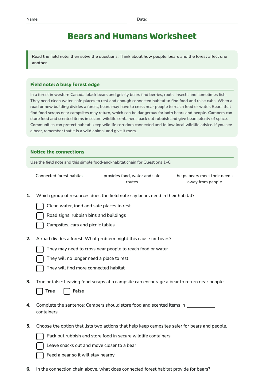 Bears and Humans Worksheet worksheet preview