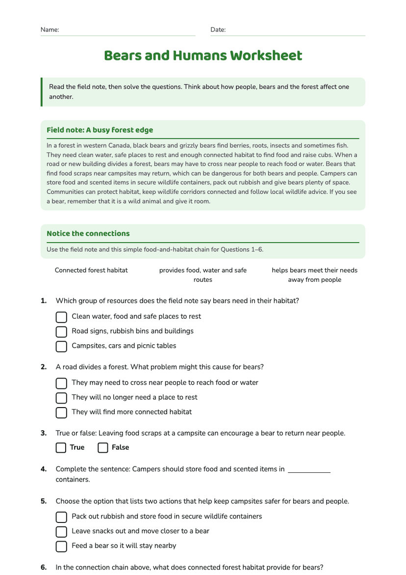 Bears and Humans Worksheet