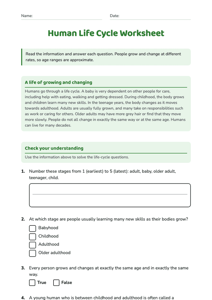 Human Life Cycle Worksheet