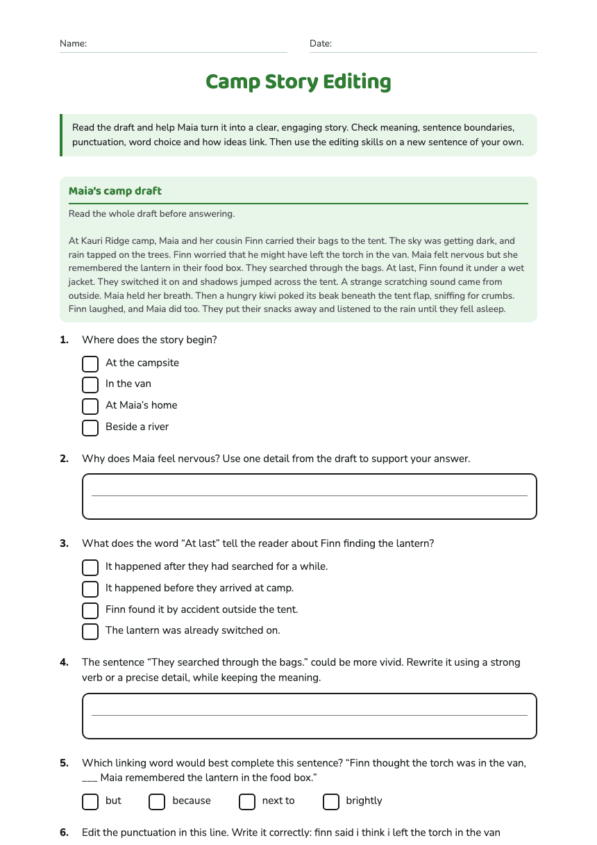 Camp Story Editing worksheet preview