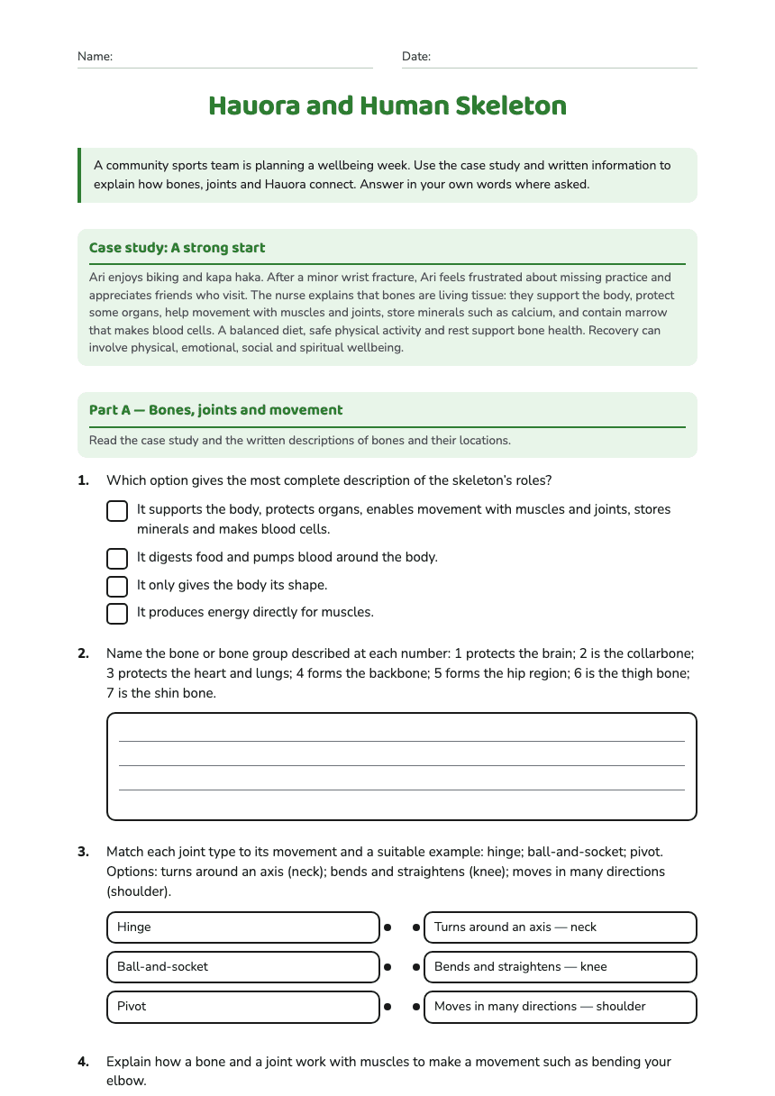 Hauora and Human Skeleton worksheet preview