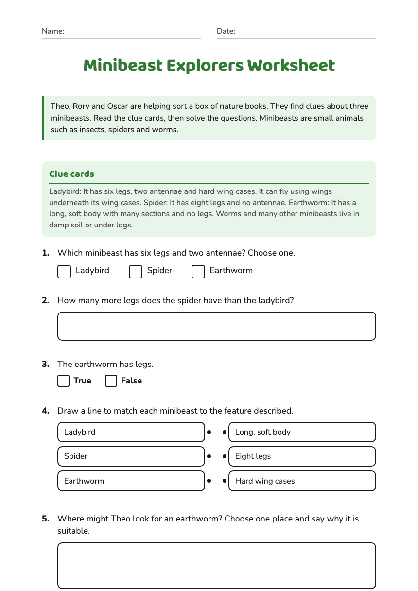 Minibeast Explorers Worksheet worksheet preview