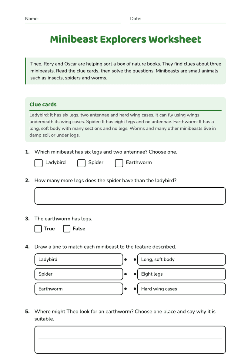 Minibeast Explorers Worksheet