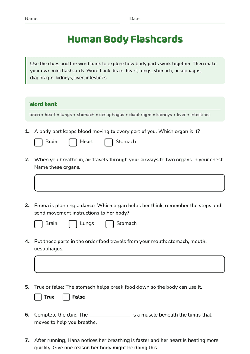 Human Body Flashcards